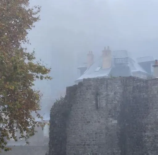 Maison, Cite Plantagenet, 20 M De La Parade Des Pilotes 24 H, 20 Mn En Tram Du Circuit Vakantiehuis