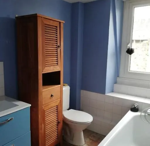 Maison, Cite Plantagenet, 20 M De La Parade Des Pilotes 24 H, 20 Mn En Tram Du Circuit Vakantiehuis