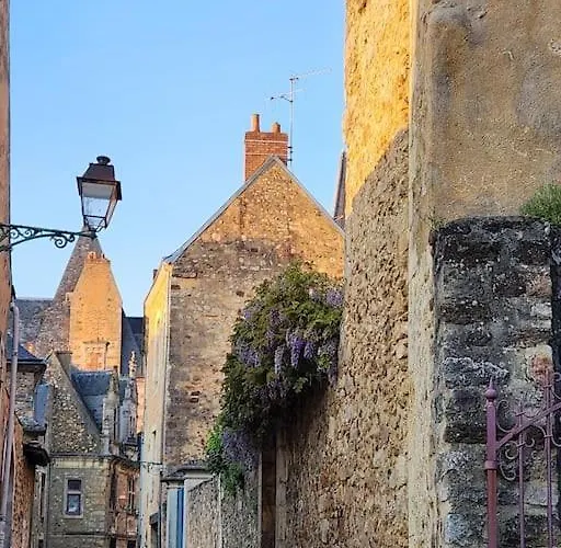 Vakantiehuis Maison, Cite Plantagenet, 20 M De La Parade Des Pilotes 24 H, 20 Mn En Tram Du Circuit Le Mans